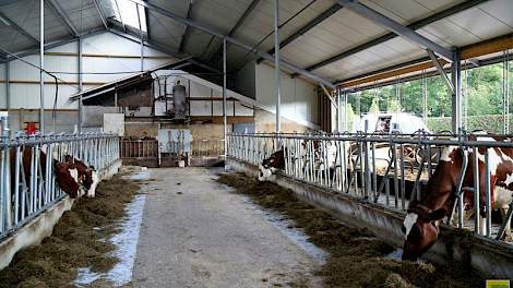 Bij de uitbreiding is gekozen voor maximaal koecomfort; ruime looppaden, diepstrooiselboxen, een groot strohok en goede ventilatie. Om kosten te besparen zijn tweedehands roosters geplaatst. De ligplaatsen zijn verlengd, niet breder gemaakt.