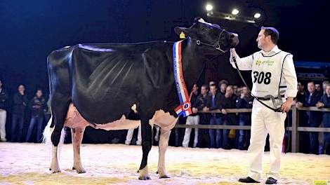 Regerend NRM-kampioene Bons-Holsteins Koba 191 (Jasper x Integrity) werd op de HHH-show verkozen tot algemeen kampioene zwartbont.