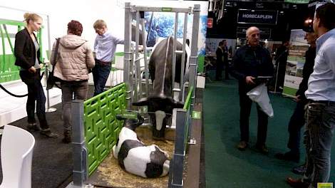 Al geïntroduceerd op de Eurotier in Hannover, maar voor het eerst ook in Nederland te zien, de Spinder Cuddle Box. De box is speciaal ontwikkeld voor de verzorging van koe en kalf na afkalven. De koe heeft in de box de gelegenheid om het kalf te verzorgen