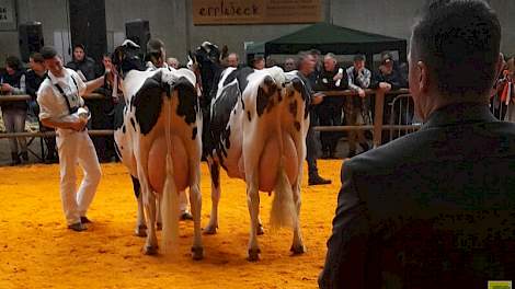 Het kampioensduo bij de oudere koeien zwartbont. Links Euro's Jet 825 (v. Strider) van Bloemen Melkvee uit Vredepeel en rechts Maga 75 (v. Norwin) van Vof Gebleektendijk uit Nederweert-Eind. Op de voorgrond jurylid Gerrit van der Kolk die tekst en uitleg