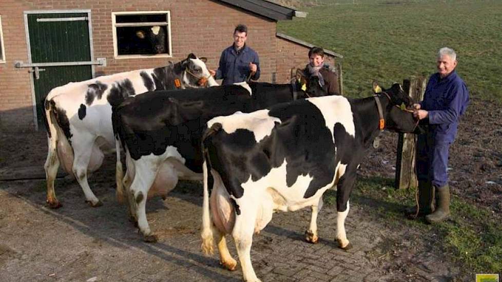 In 2010 zond de familie Machielsen drie honderdtonners in voor de Wintershow in Etten-Leur. Vlnr: Dora 395 (v. Cash), Dora 442 (v. Manfred) en Clara 590 (v. Cash).