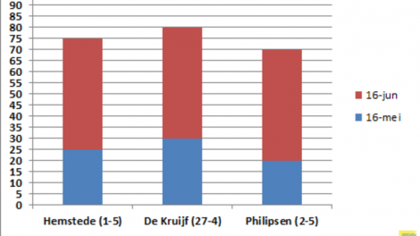 De stand van de maïs bij de drie telers die Topmais dit jaar volgt. Tussen haakjes de zaaidatum. Hemstede en Philipsen zitten op zandgrond, De Kruijf boert op klei.