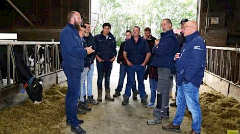 Pieter Karst Bouma (links, met baard) voert sinds 3 jaar voederbieten aan de koeien, in een gemengd rantsoen met gras- en maiskuil.