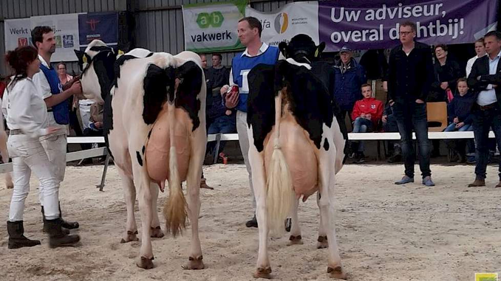 Het kampioensduo van de categorie oud met links kampioene Bolleholster Anya 2 (v. Sanchez) van Van der Ploeg en rechts reservekampioene Giessen Precilla 4 (v. Goldwyn) van Huitema. Rechts de juryleden Jan Wouter van Noord en Addy Moree (volledig rechts).