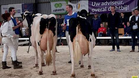 Het kampioensduo van de categorie oud met links kampioene Bolleholster Anya 2 (v. Sanchez) van Van der Ploeg en rechts reservekampioene Giessen Precilla 4 (v. Goldwyn) van Huitema. Rechts de juryleden Jan Wouter van Noord en Addy Moree (volledig rechts).