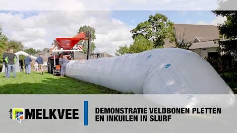 Demonstratie veldbonen pletten en inkuilen in slurf