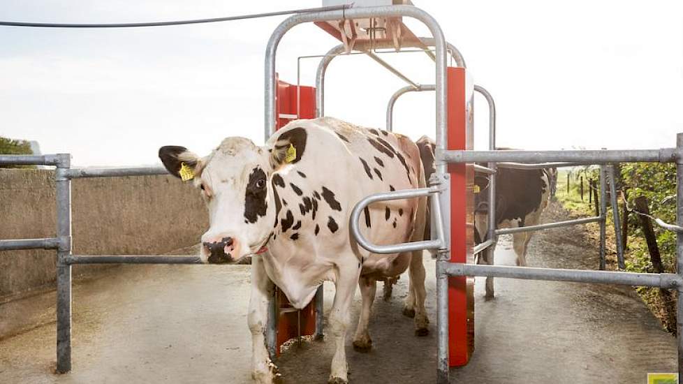 De nieuwe weidegang-registratiepoort van Lely, de Grazeway R.