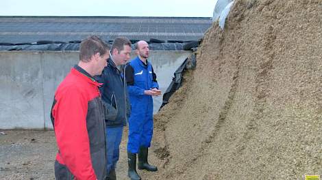 Van Maanen begint zijn ronde bij de maïskuil die op dit moment wordt gevoerd. Ook De Kruijf zijn eigen voeradviseur van Agrifirm is bij het bezoek aanwezig. De veehouder heeft twee maïskuilen liggen. Deze maiskuil bevat 984 VEM en 399 gram zetmeel bij 40