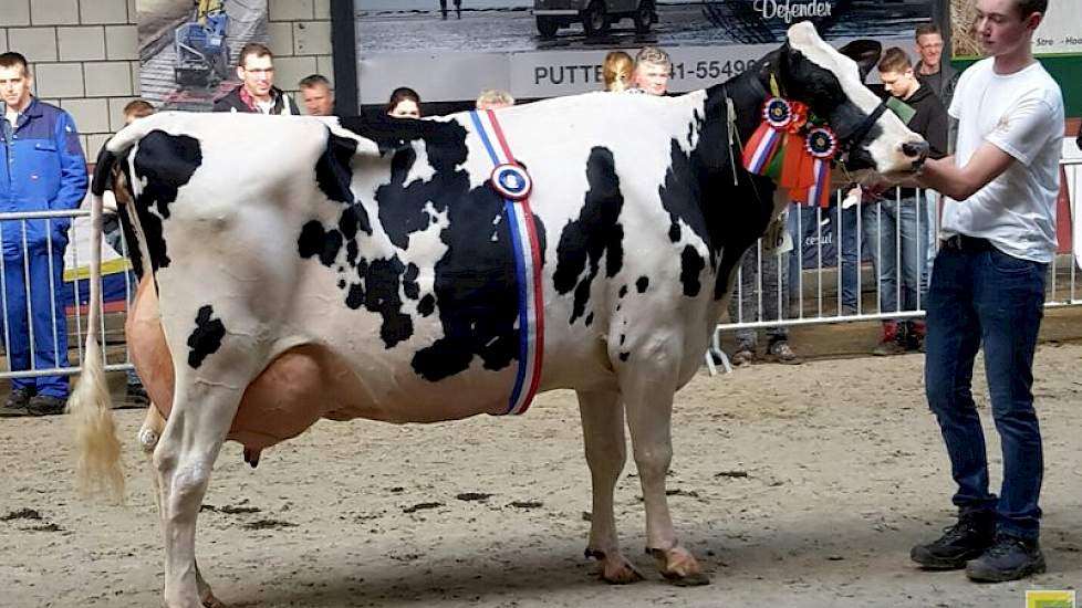 Algemeen kampioene zwartbont werd Bertha 152 (v. Jango) van de familie Van Essen uit Beemte-Broekland.