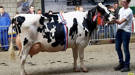 Algemeen kampioene zwartbont werd Bertha 152 (v. Jango) van de familie Van Essen uit Beemte-Broekland.