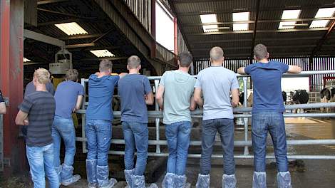 Melkveebedrijven bekijken, dat doen we met deze Boer on Tour voor jonge melkveehoud(st)ers.