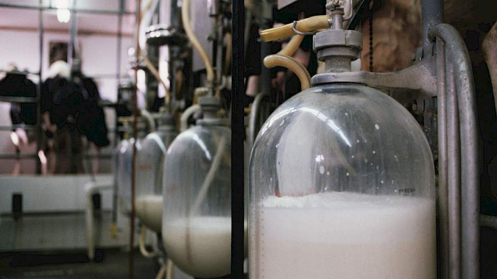 Alfa › Wat Zijn De Kosten Van Een Extra Melkkoe Na 1 April 2015? |  Melkvee.Nl - Nieuws En Kennis Voor De Melkveehouder