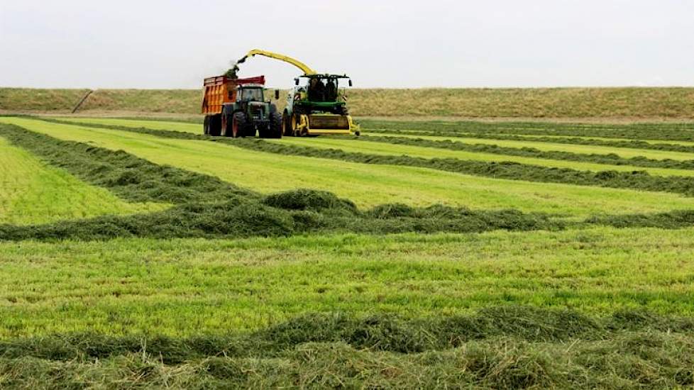 Limagrain › Graskwaliteit Heb Je Zelf In De Hand | Melkvee.nl - Nieuws ...