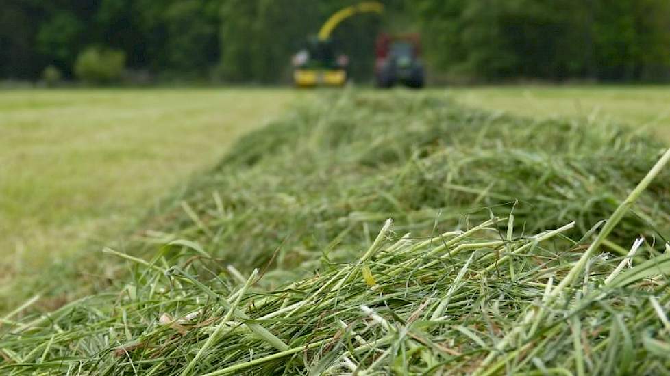 Hakselen van gras