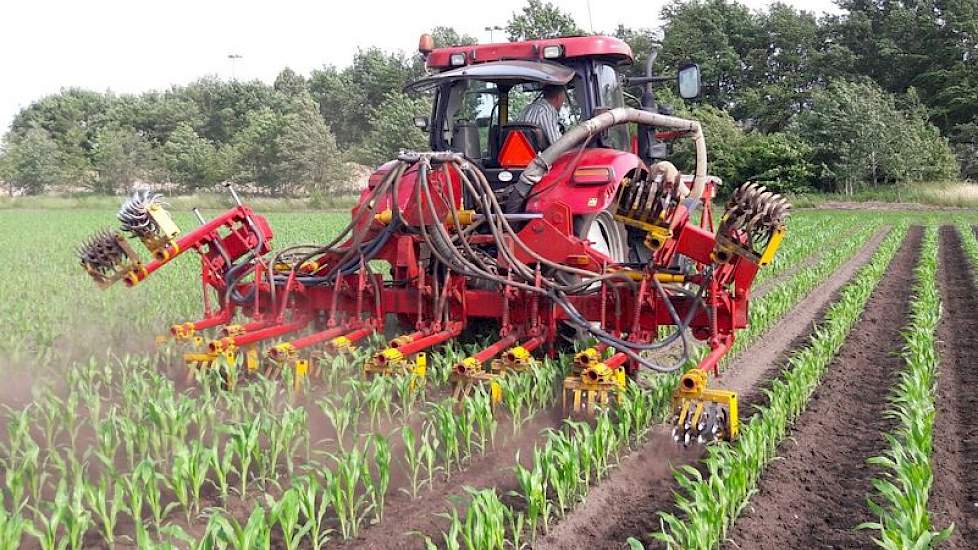 TerraLife Landsberger Gemenge als onderzaai wordt met de rolschoffel ingewerkt