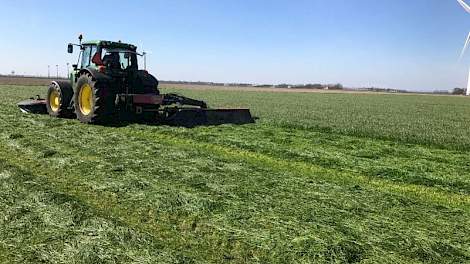 Dit jaar maaide een melkveehouder in Biddinghuizen al op 27 maart een mooie 1e snede Havera 2, in 2016 ingezaaid na de oogst van uien