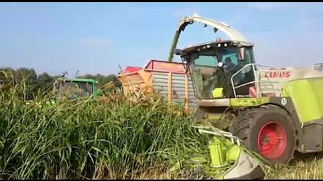 Hakselen sorghum loonbedrijf Kuenen