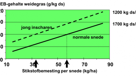 Bij lagere stikstofniveaus is het RE-gehalte op het inschaarmoment van 1700 kg ds ook lager. Jong inscharen is een manier om toch eiwitrijk gras aan te bieden. Bron: WUR