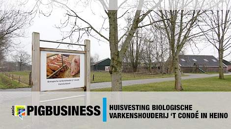 Huisvesting biologische varkenshouderij 't Condé in Heino