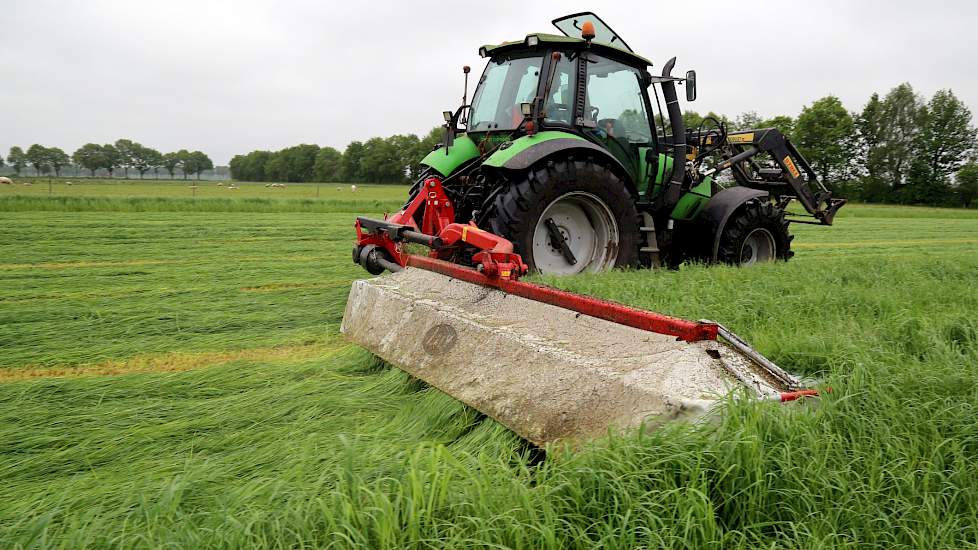 Zwaardere Snede En Tetraploïde Gras Hoger Maaien' | Melkvee.Nl - Nieuws En  Kennis Voor De Melkveehouder