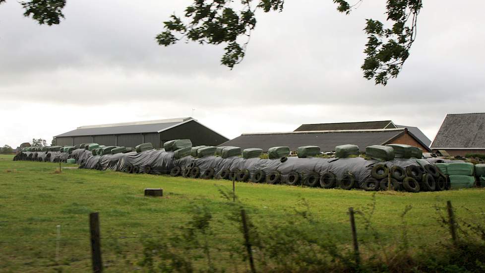 Donkere wolken pakken zich samen boven de melkveehouderij.