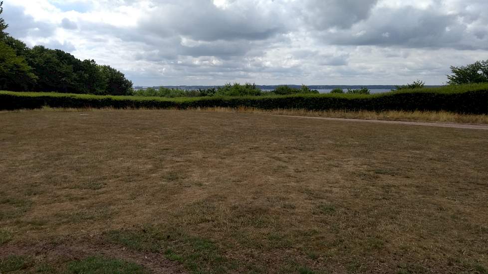 Verdroogd stuk land in de Zweedse regio Skane, in de buurt van Helsingborg