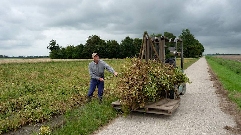 Piet Hoekstra uit Sint Jacobiparochie aan het werk