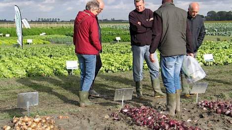 Uienspecialist Ben de Nijs van Nickerson-Zwaan (op de rug gezien) legt telers uit dat de rassen voor de lange bewaring Centro en Dormo nu zijn uitgebreid met Firmo en Paradiso, die eveneens een goede spruitrust kennen. Firmo is net iets vroeger dan Dormo,