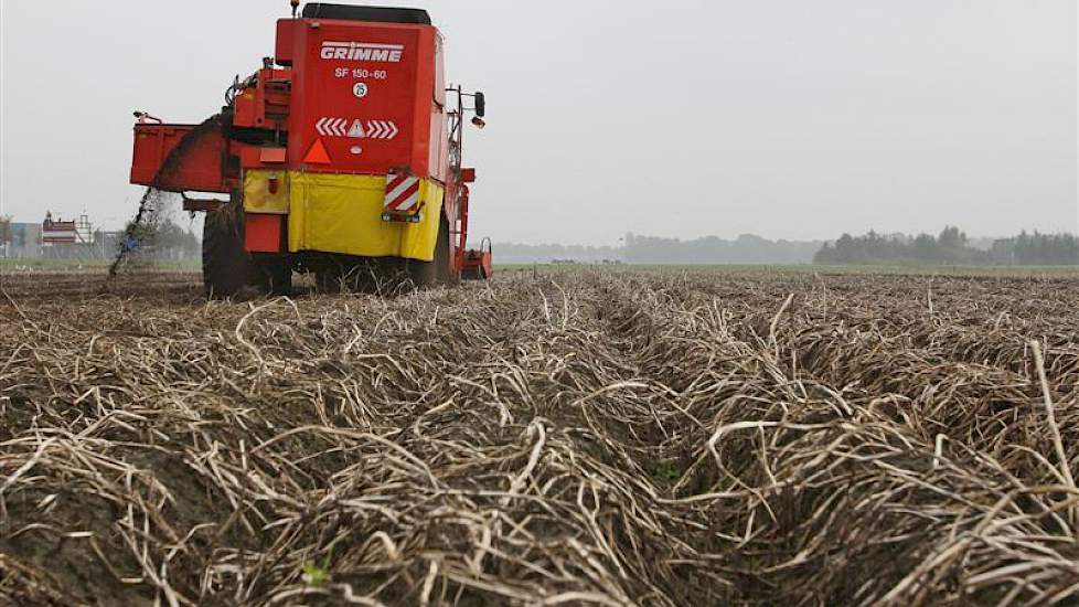 Akkerbouwer Fred Lammers rooide maandag met een zelfrijder 2,5 hectare Seresta zetmeelaardappelen