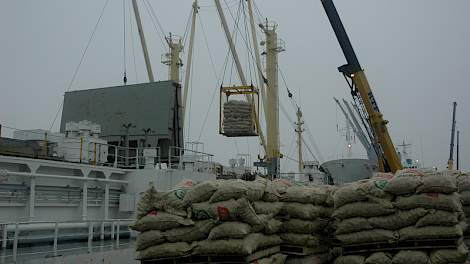 IPM laadt vandaag 3.500 ton pootaardappelen in een schip met als eindbestemming Algerije. Naar verwachting komen de aardappelen op Tweede Kerstdag in het Noord-Afrikaanse land aan.